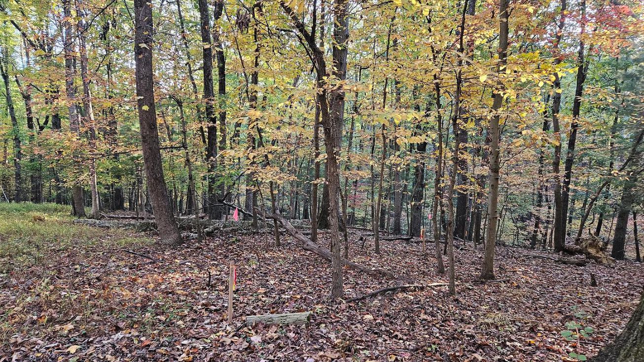 22,23,24,25 Dogwood Ln, Mount Weather, VA 20135