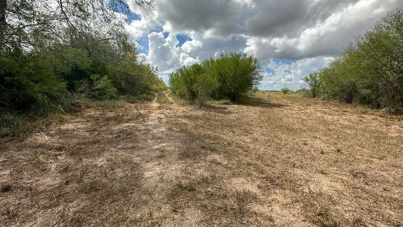 TBD CR 408, Falfurrias, TX 78355