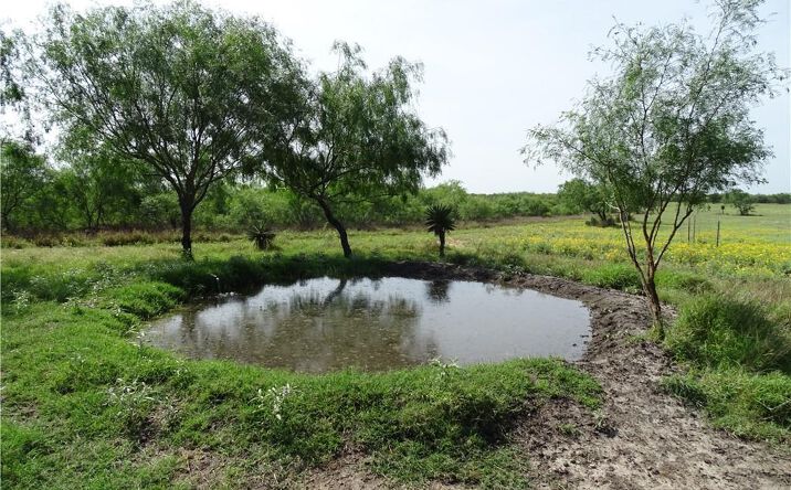 Pictures of Land property located at 0 FM 2294 Highway, San Isidro, TX 78588 for sales - image #1