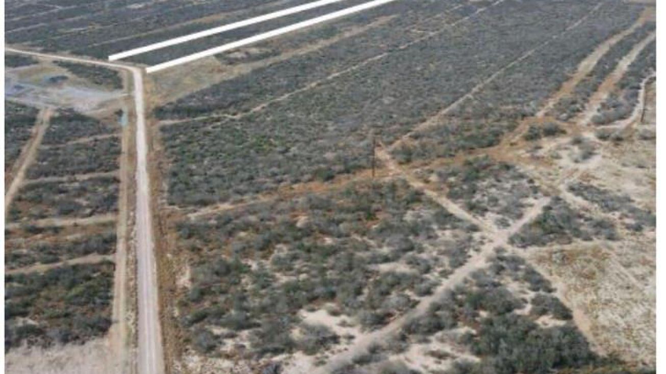 49 Vista Falcon Pvt Road, Falcon Heights, TX 78545