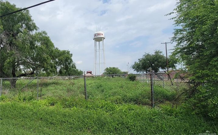 Pictures of Land property located at 00 Highway Highway, La Joya, TX 78560 for sales - image #1