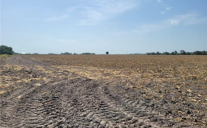 Pictures of Land property located at 0 Mile 1/2 Street E, Mercedes, TX 78570 for sales - image #1