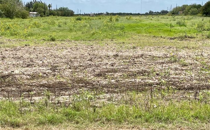 Pictures of Land property located at TBD FM 1015 Road, Progreso, TX 78579 for sales - image #1