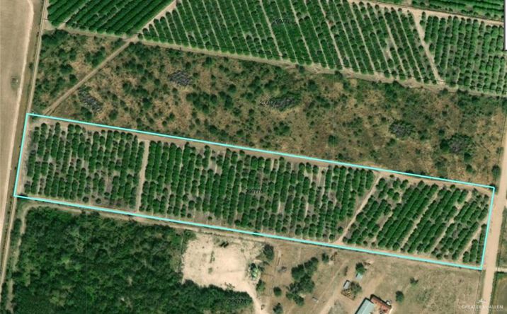 Pictures of Land property located at 0 Iowa Road, Penitas, TX 78574 for sales - image #1