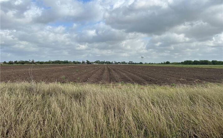 Pictures of Land property located at 0000 W Hwy 107 Highway W, Edinburg, TX 78539 for sales - image #1