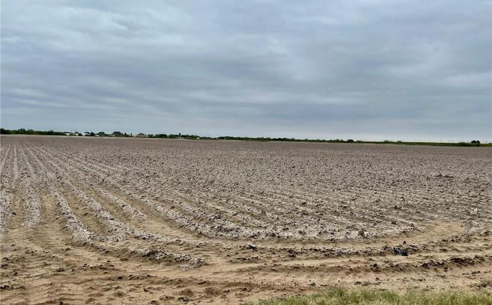 Pictures of Land property located at TBD Mile 12 1/2 North Road, Mercedes, TX 78570 for sales - image #1