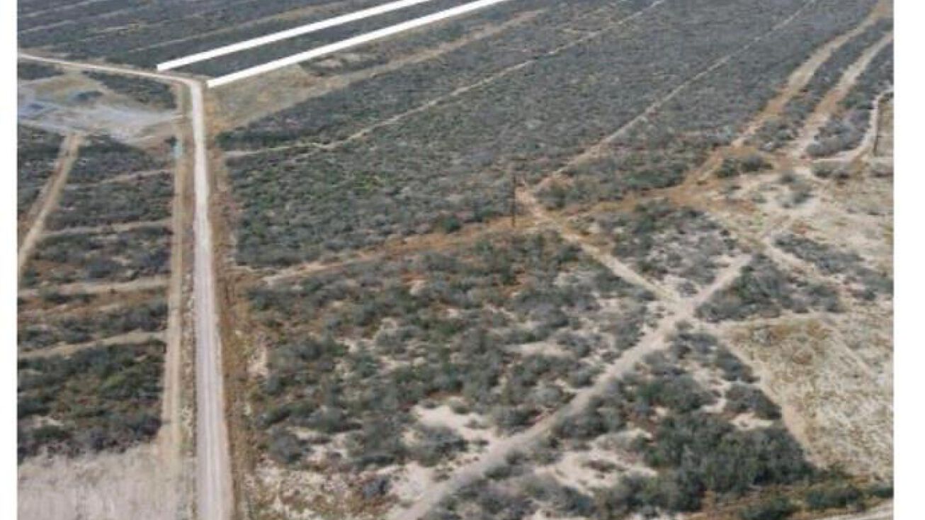 47 Vista Falcon Pvt Road, Falcon Heights, TX 78545