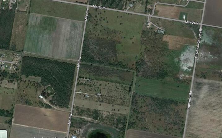 Pictures of Land property located at 000 Mile 7 W, Monte Alto, TX 78538 for sales - image #1