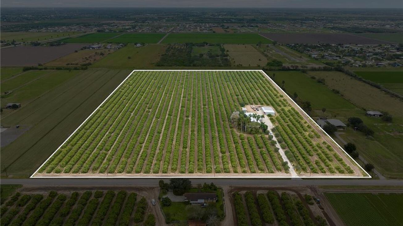 492 W Trenton Road, Donna, TX 78537