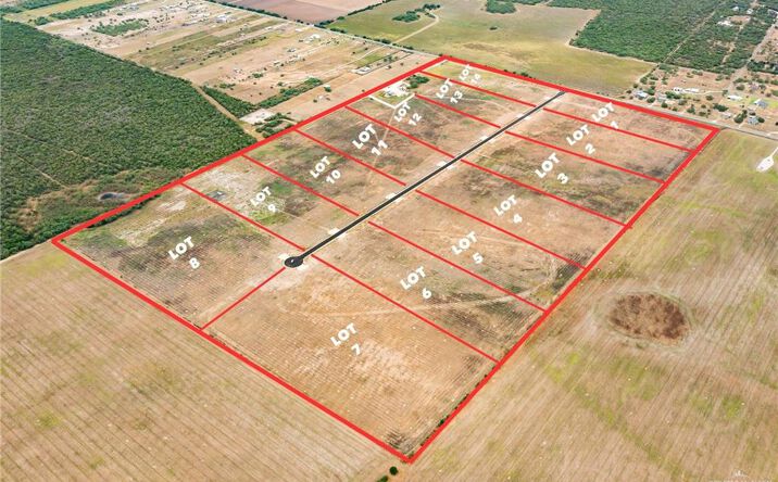 Pictures of Land property located at Lot 2 N Brushline Road, Edinburg, TX 78542 for sales - image #1
