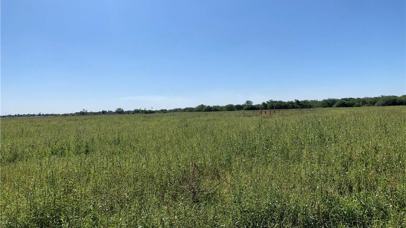 0 Wisconsin Road, Alamo, TX 78516