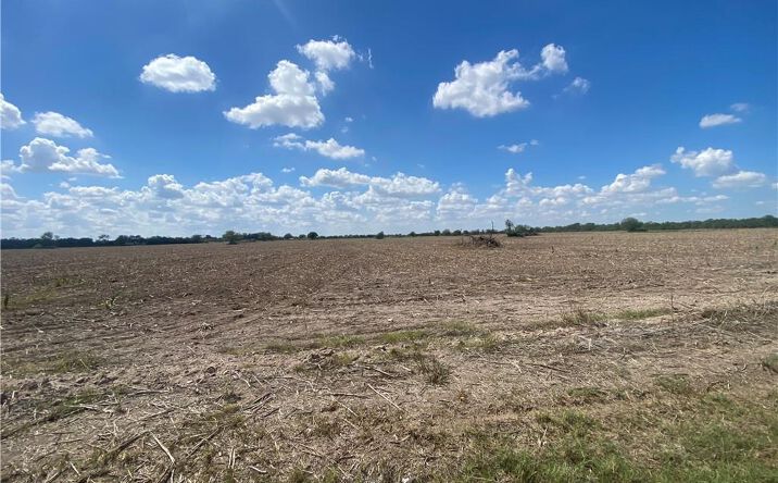 Pictures of Land property located at 000 17 1/2 Street, Edinburg, TX 78541 for sales - image #1
