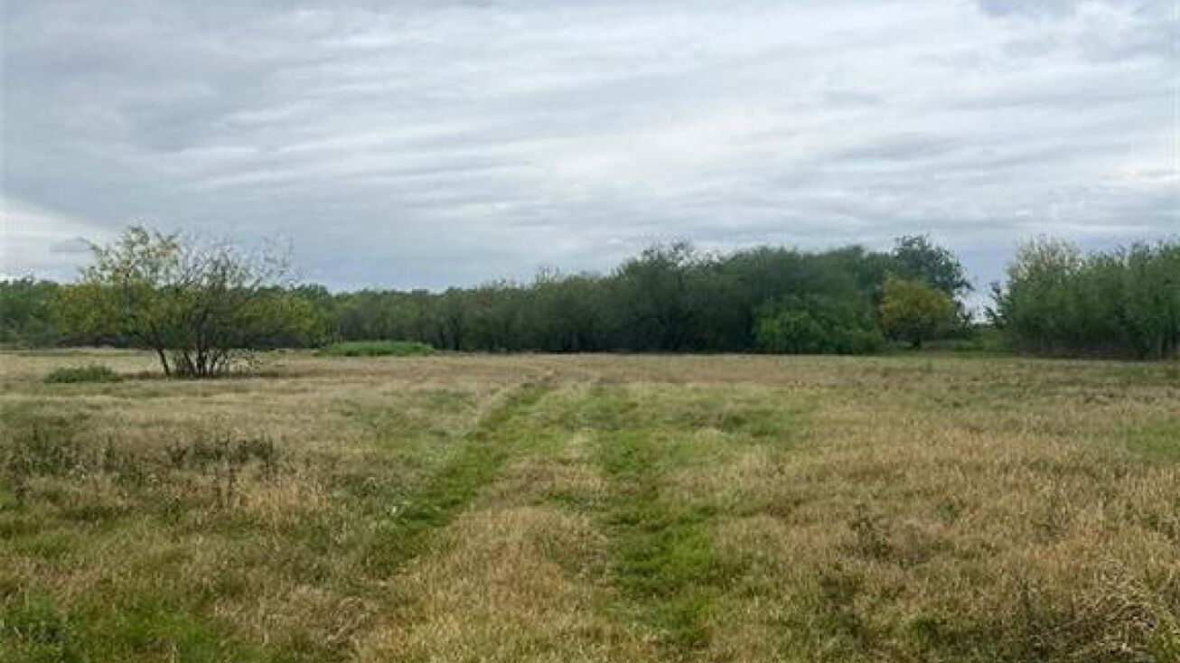 24225 Norene Drive, Monte Alto, TX 78538