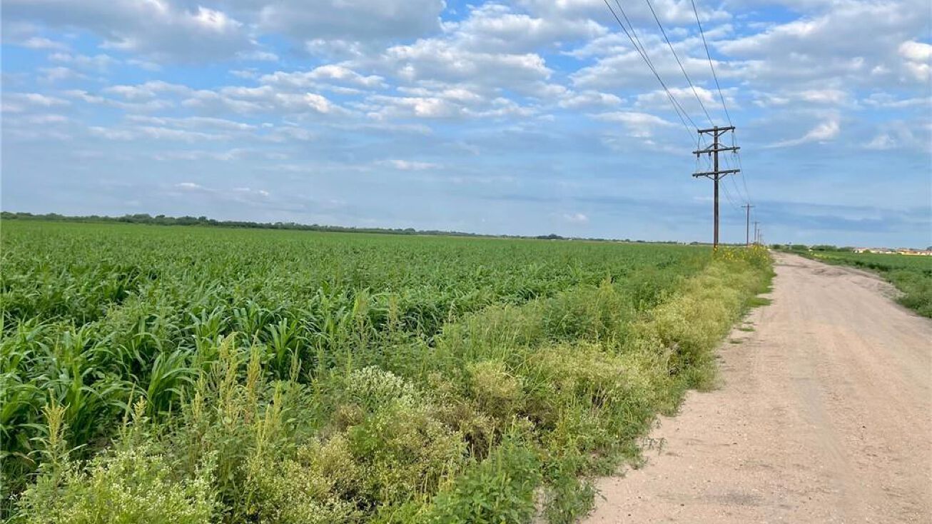 TBD Mile 15 1/2 Road N, Elsa, TX 78543