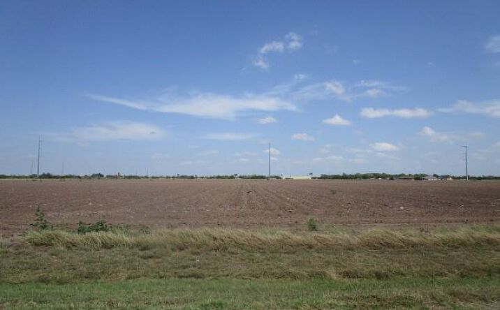 Pictures of Land property located at tbd FM 732, San Benito, TX 78586 for sales - image #1