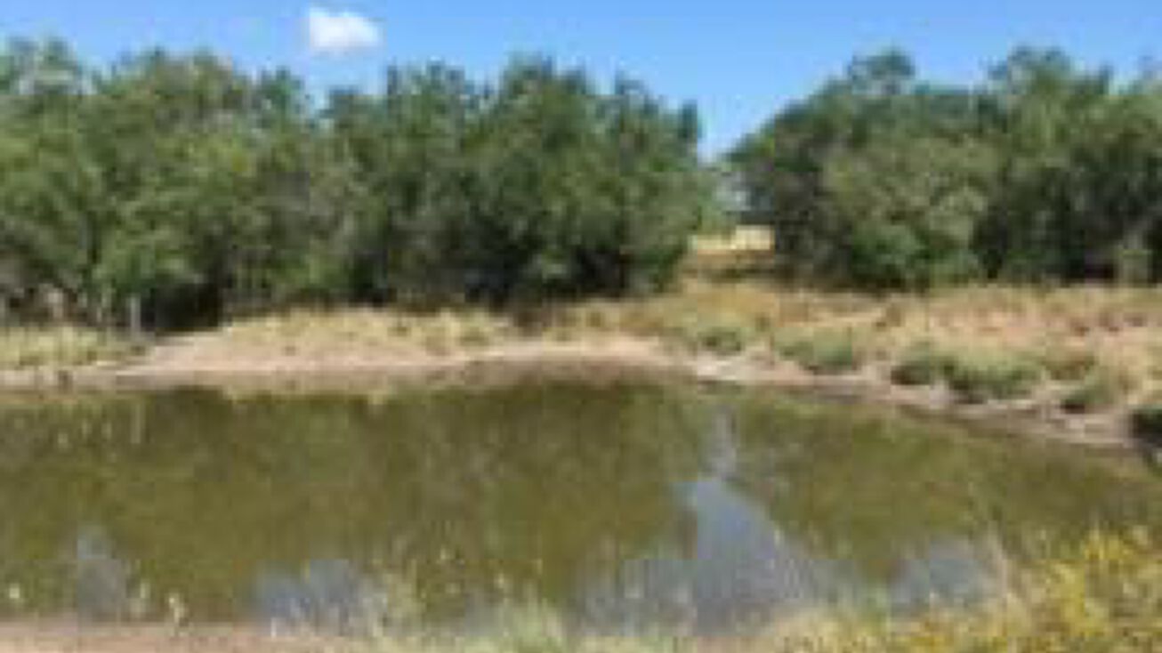 none FM 2686 Road, San Carlos, TX 78542