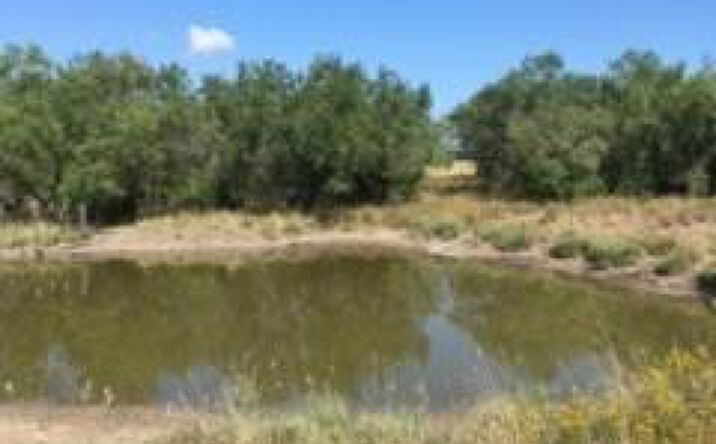 Pictures of Land property located at none FM 2686 Road, San Carlos, TX 78542 for sales - image #1