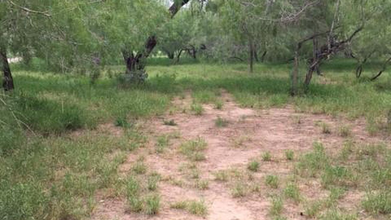 7 7/8 N Glasscock Road, Mission, TX 78573