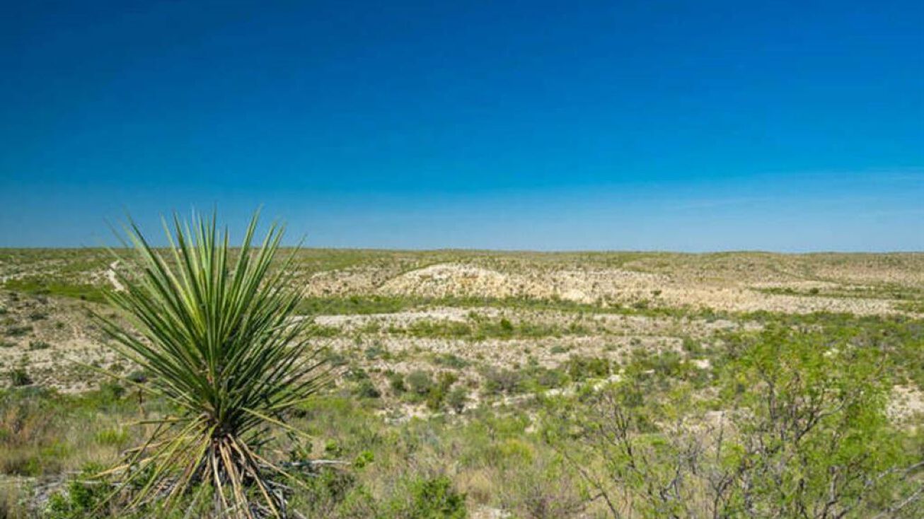 0047 Rock House Road, Other, TX 78851