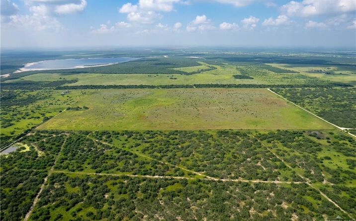 Pictures of Land property located at 00 NE Rucio Road, San Manuel, TX 78563 for sales - image #1