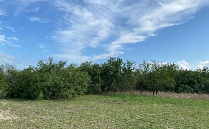 Pictures of Land property located at 0 Expressway 83 Highway, Harlingen, TX 78586 for sales - image #1