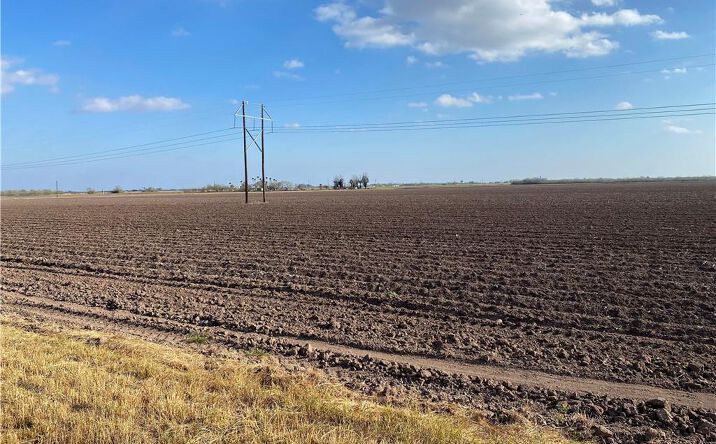 Pictures of Land property located at 00 W FM 800 Road, San Benito, TX 78586 for sales - image #1