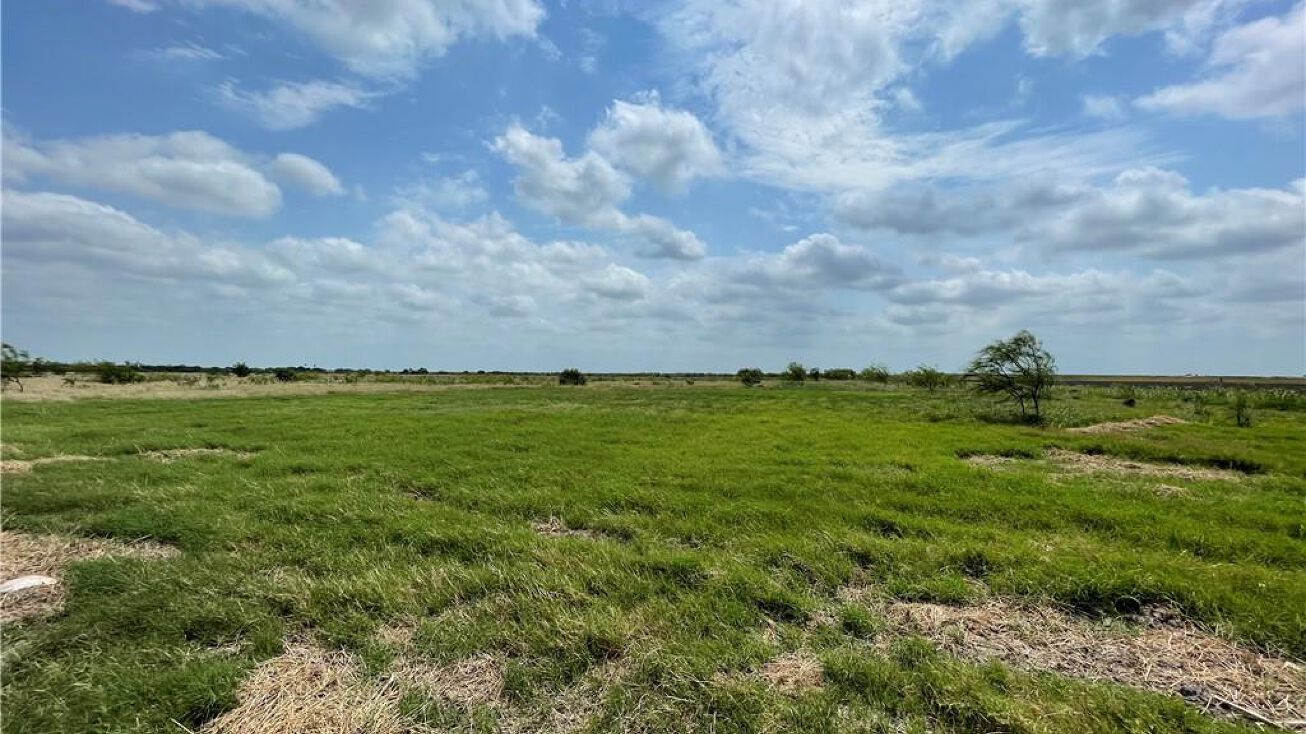 TBD Mile 2 1/2 E, Mercedes, TX 78570