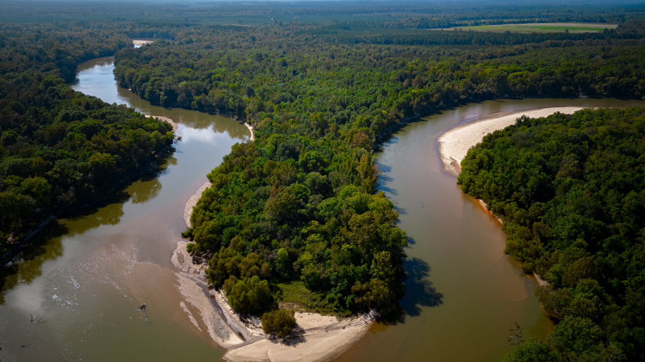 Oconee River, Bells Ferry Hwy., Lumber City, GA 31549