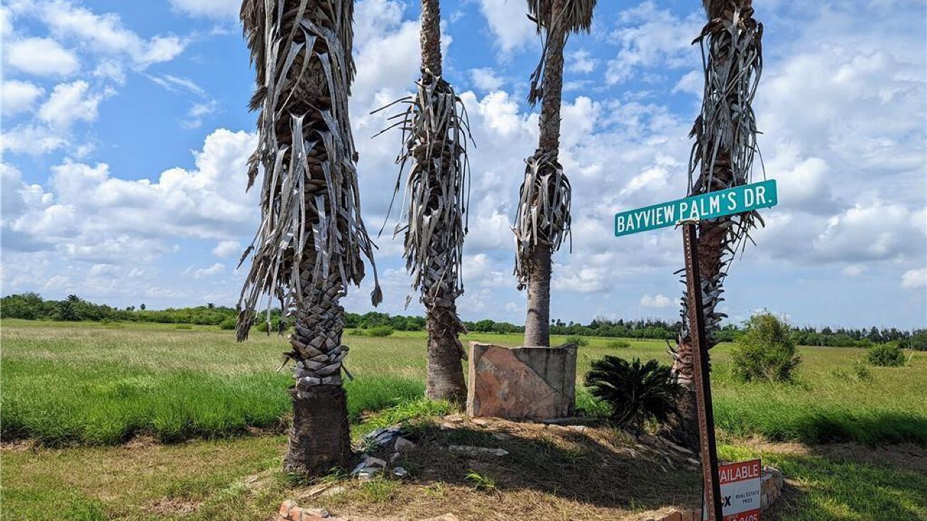 000 Bayview Palms Road, Bayview, TX 78566
