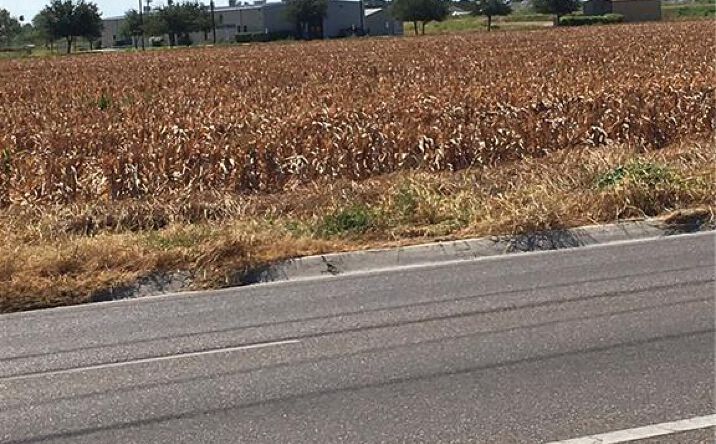 Pictures of Land, Multifamily property located at 9800 23rd Street, McAllen, TX 78504 for sales - image #1