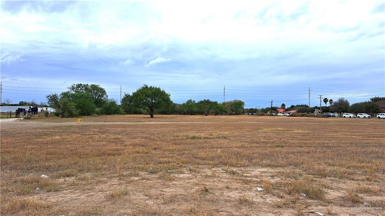 1336 N Mccoll Road, Edinburg, TX 78541