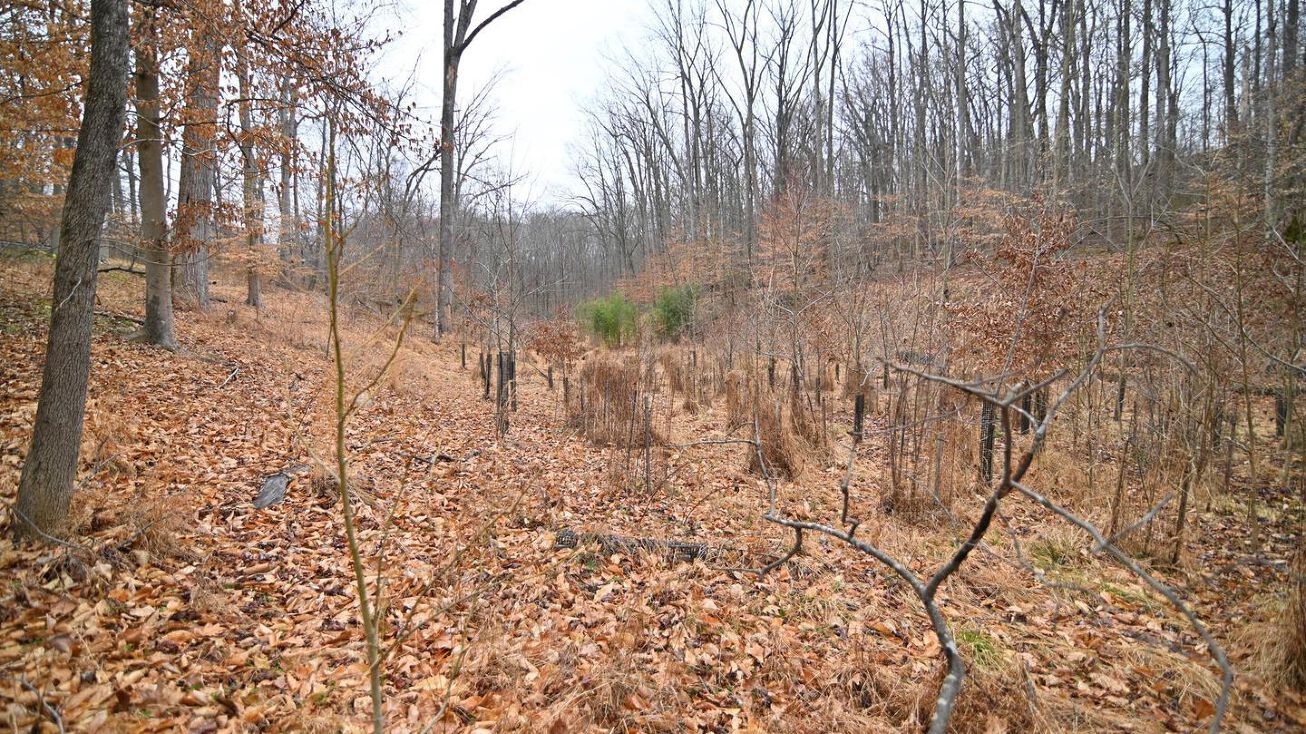 13034 Old Fort Rd, Fort Washington, MD 20744