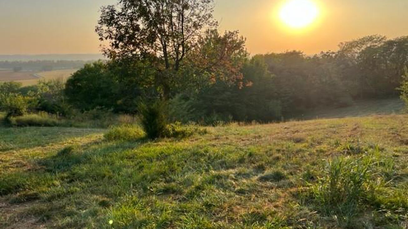 265936 SW4 NW4 & IN S2, RT K Highway, Amazonia, MO 64485