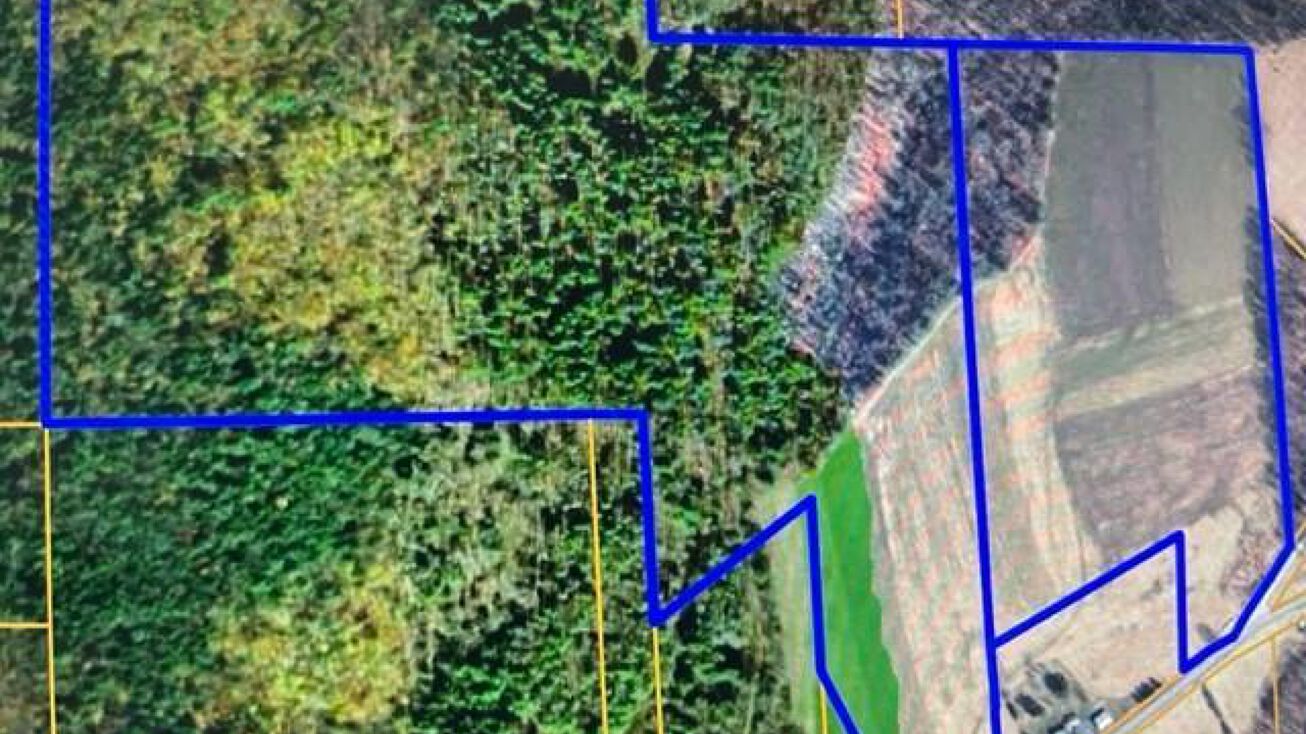 0 County 35 Highway, Masonville, NY 13804