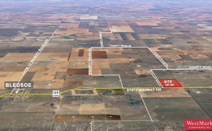 Pictures of Land property located at 131 Acres Cochran Co., Morton, TX 79346 for sales - image #1