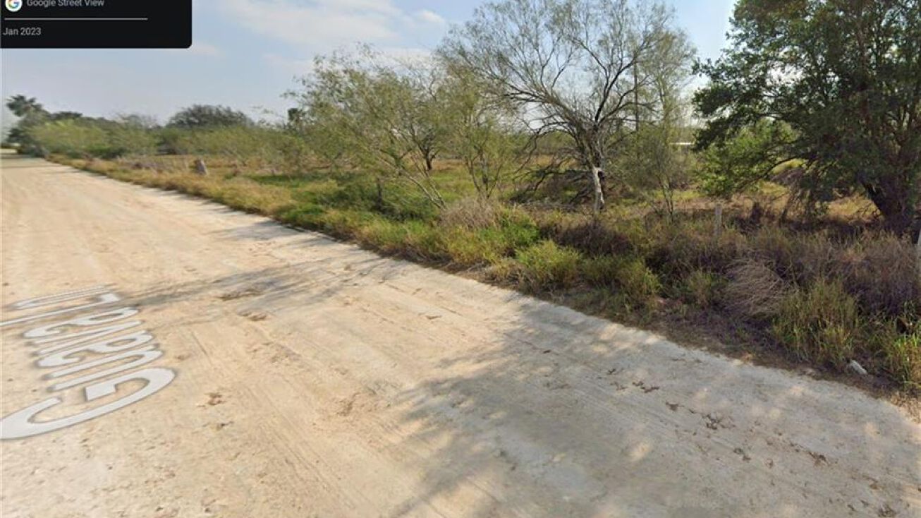 00000000 Guava Lane, McAllen, TX 78501