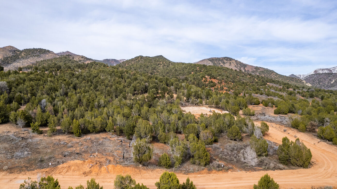 5247 Cougar Run, Fairview, UT 84629