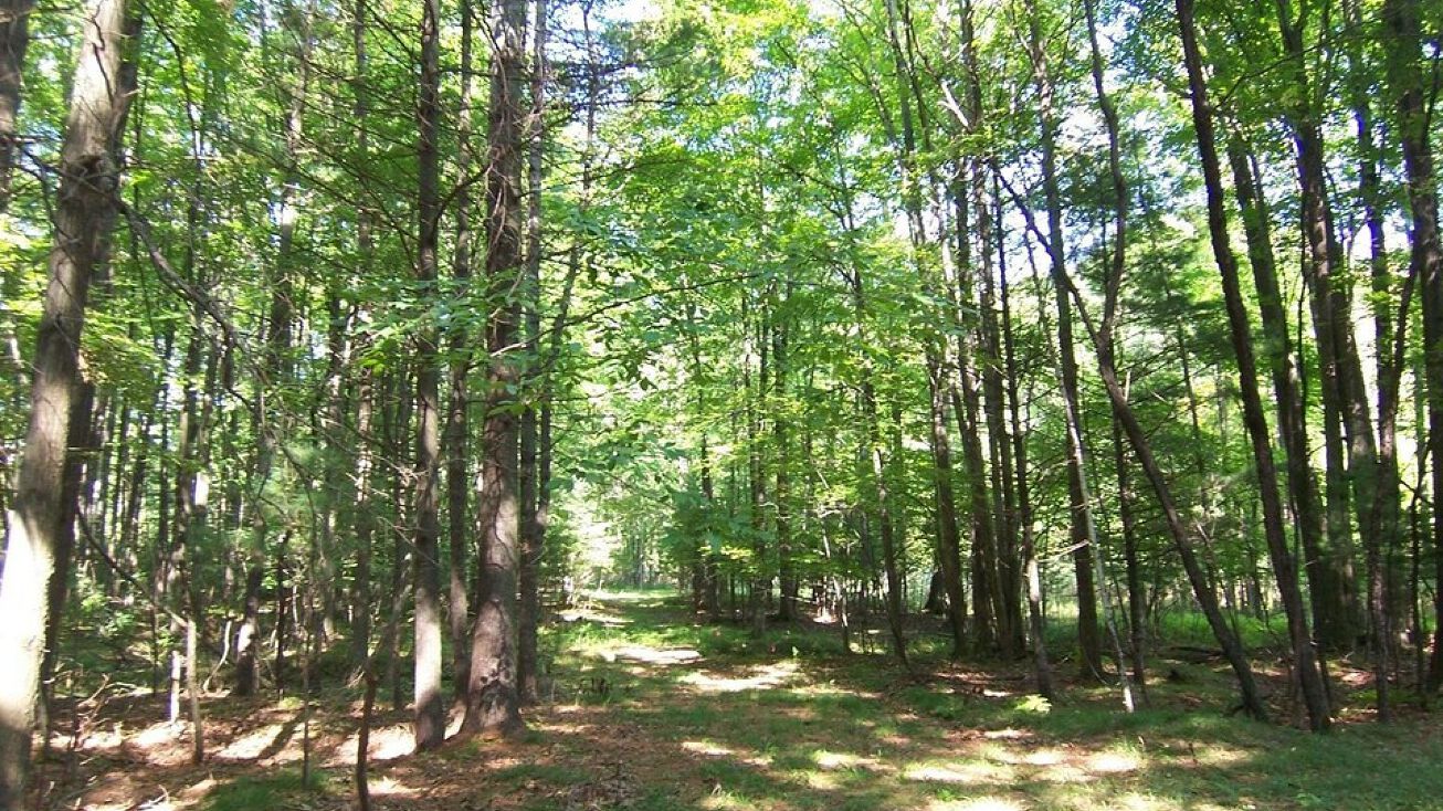 Timber Trail, Suamico, WI 54173