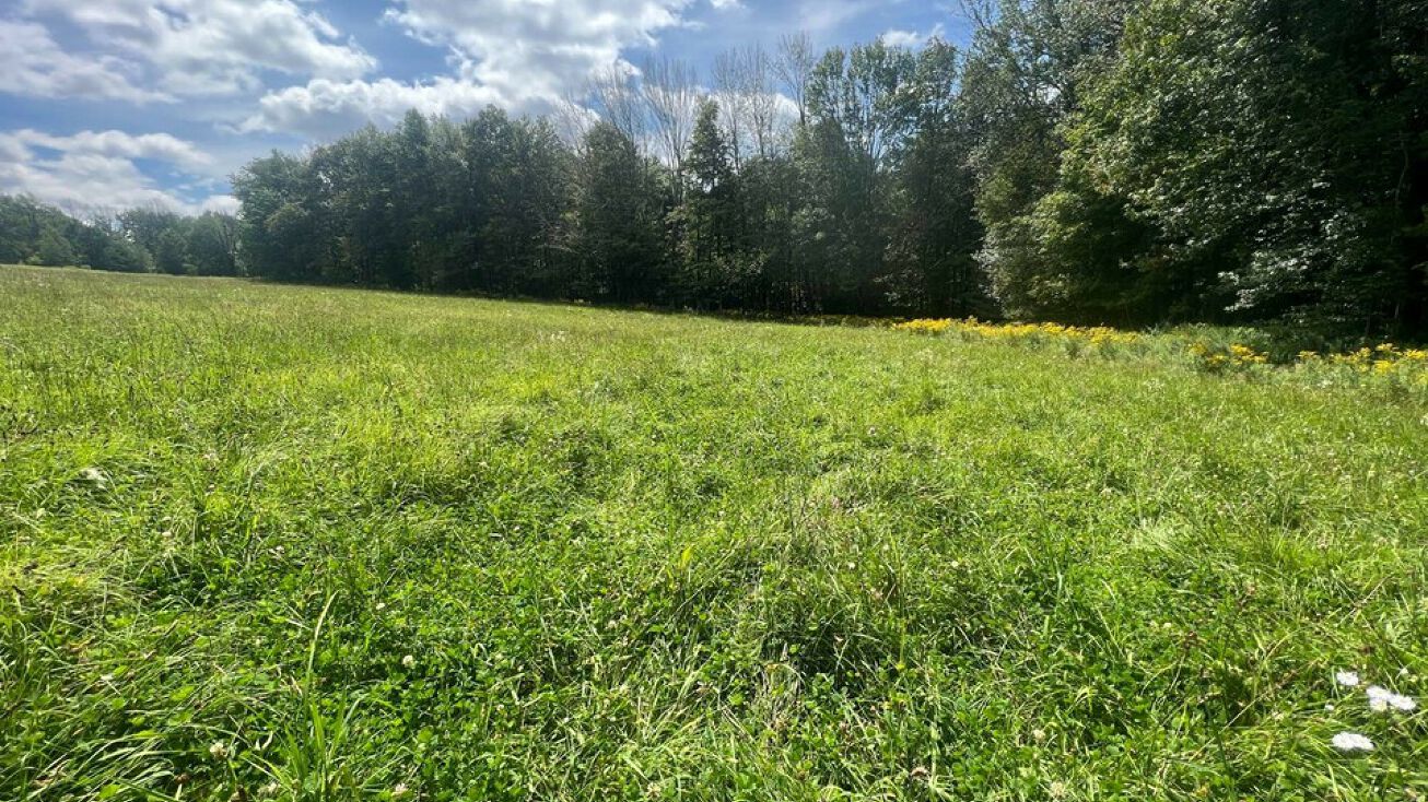 906 Owego Turnpike, Waymart, PA 18472