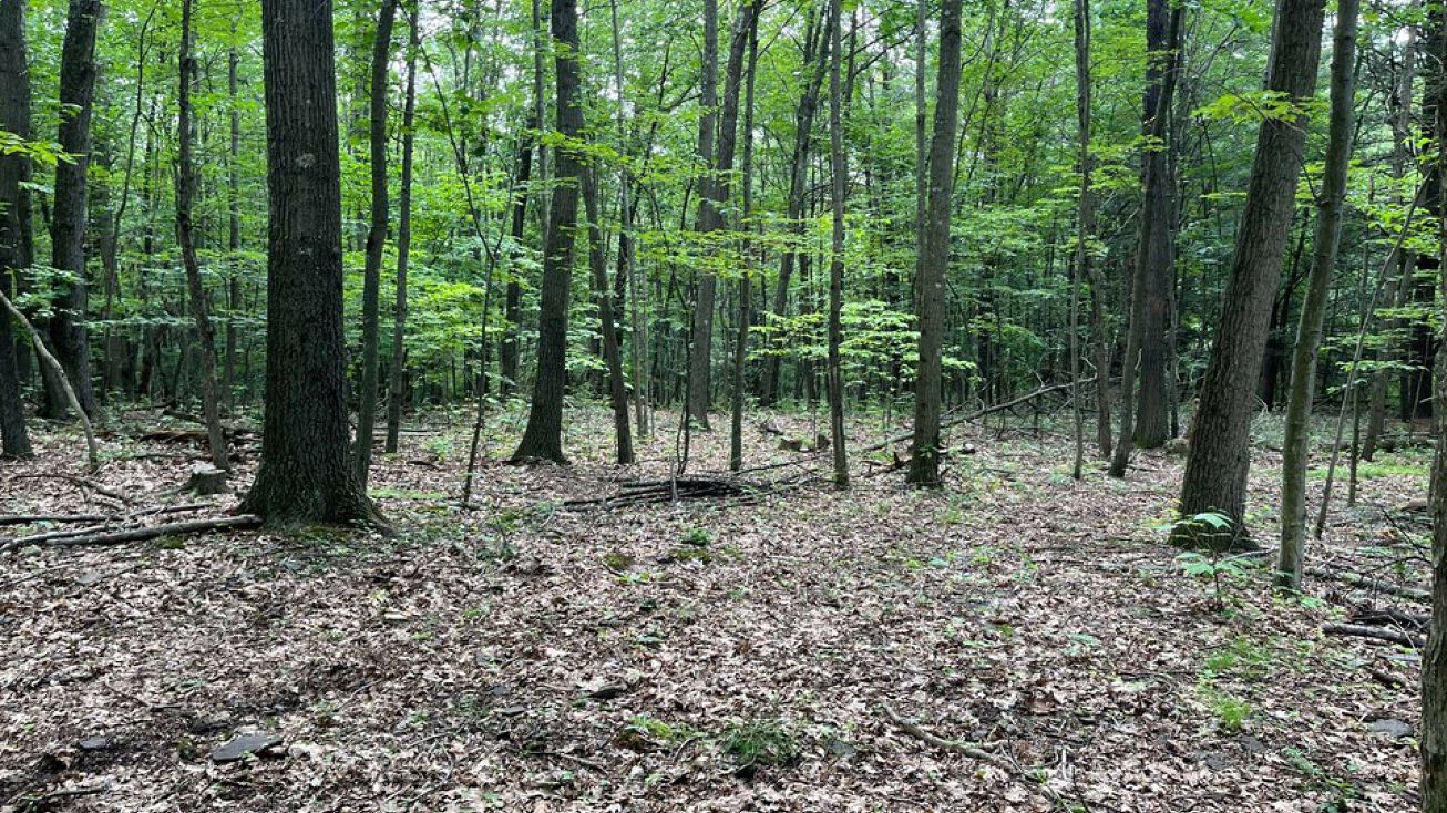 1122 Oak Hill Rd, Ulster, PA 18850