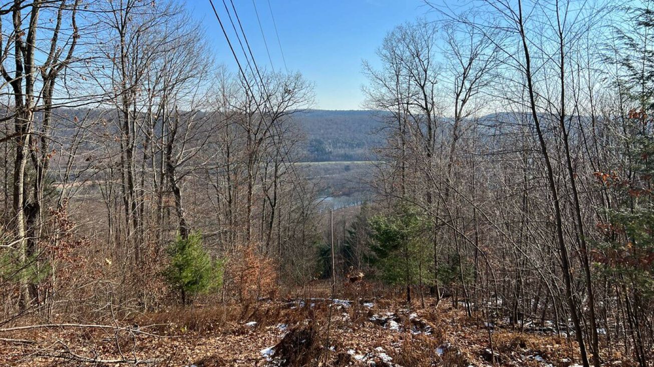 New York Ave, Hallstead, PA 18822