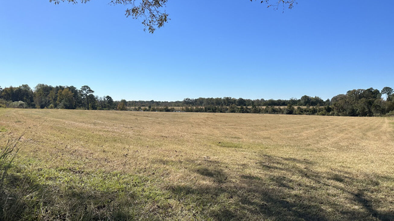 300 Dixon Rd, Uvalda, GA 30473