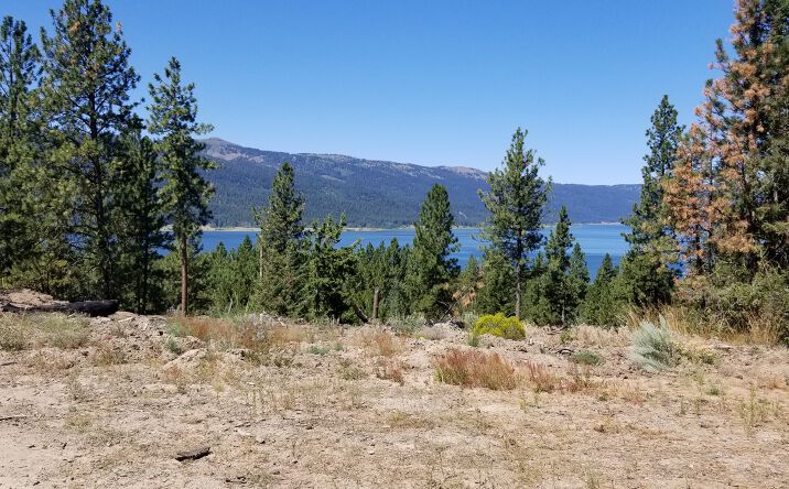 Pictures of Land property located at Lakeshore Dr, Cascade, ID 83611 for sales - image #1