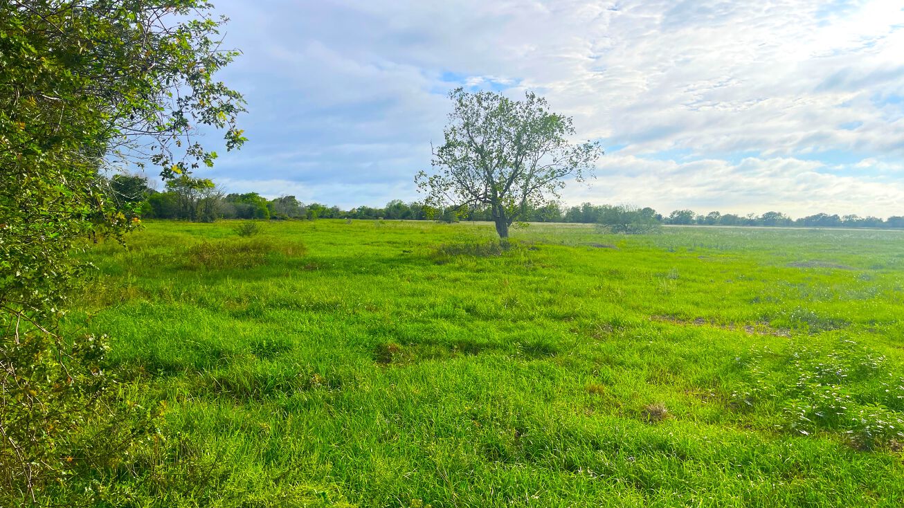 County Rd 25, Damon, TX 77430