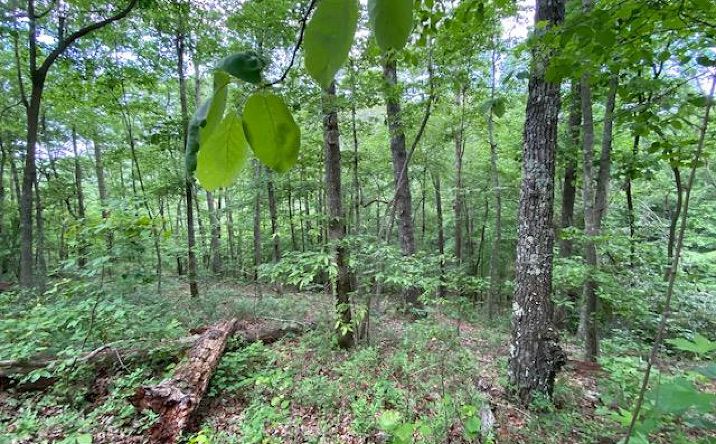 Pictures of Land property located at 0 Eagle View Cv, Big Sandy, TN 38221 for sales - image #1