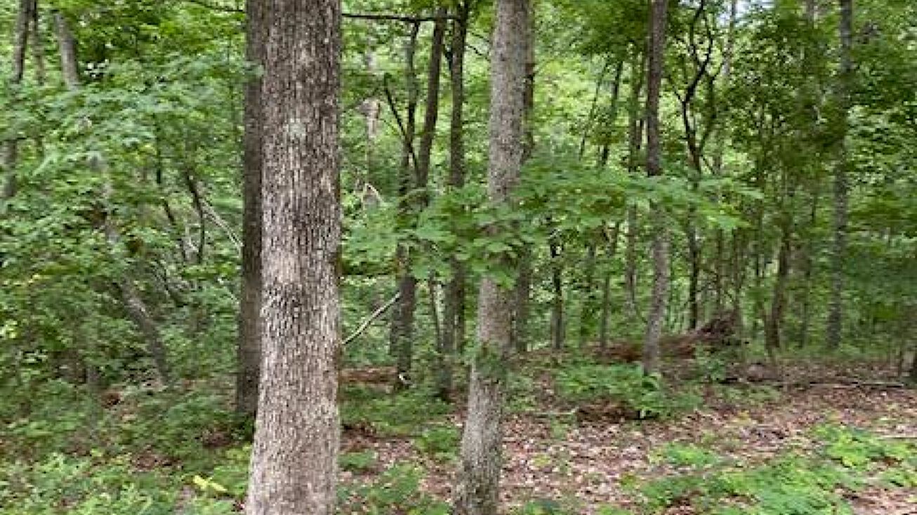 00 Eagle Nest Ln, Big Sandy, TN 38221