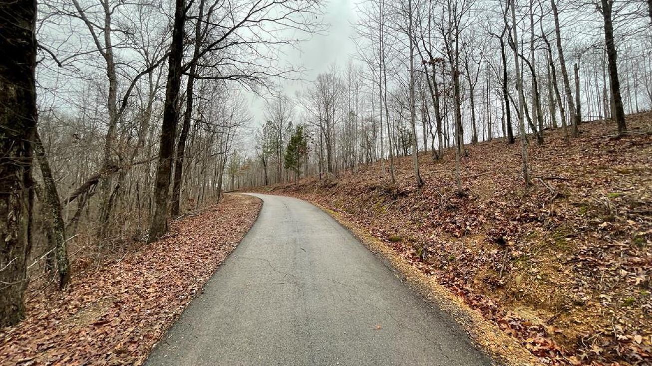 River Oaks Dr, Big Sandy, TN 38221