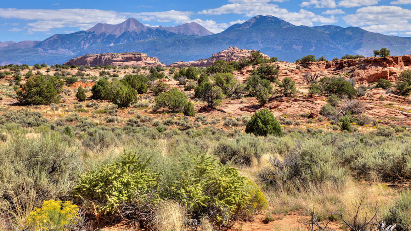 376 W Stonecliff Dr, Moab, UT 84532