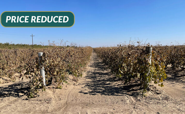 Pictures of Land property located at S. side of Ave. 10, E. of Rd. 30 1/2, Madera, CA 93636 for sales - image #1