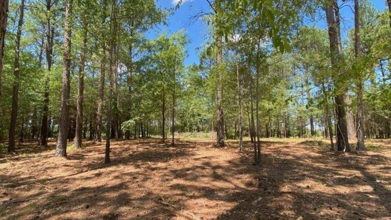 Lot 7 PR 5808 Grand, Grand Saline, TX 75140